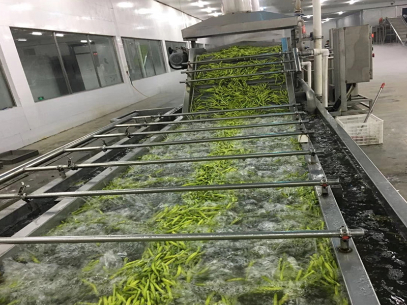 毛豆加工流水線 毛豆加工流水線
